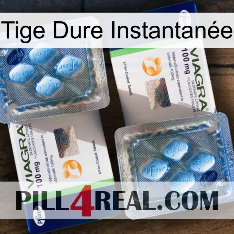 Tige Dure Instantanée viagra5
